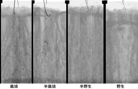 圖6190114.gif 圖6190114.gif