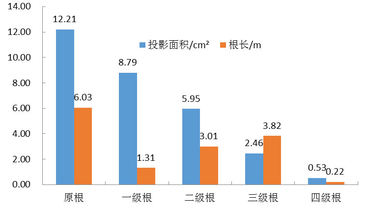 圖9190614.jpg 圖9190614.jpg