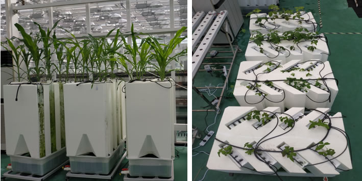 圖10190614.jpg 圖10190614.jpg