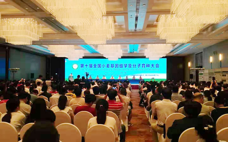 圖1190819.jpg 圖1190819.jpg