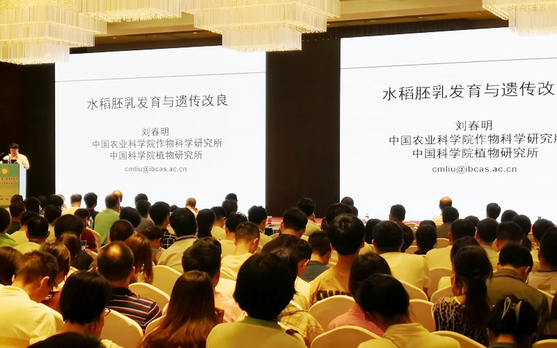 圖2190819劉春明研究員.jpg 圖2190819劉春明研究員.jpg