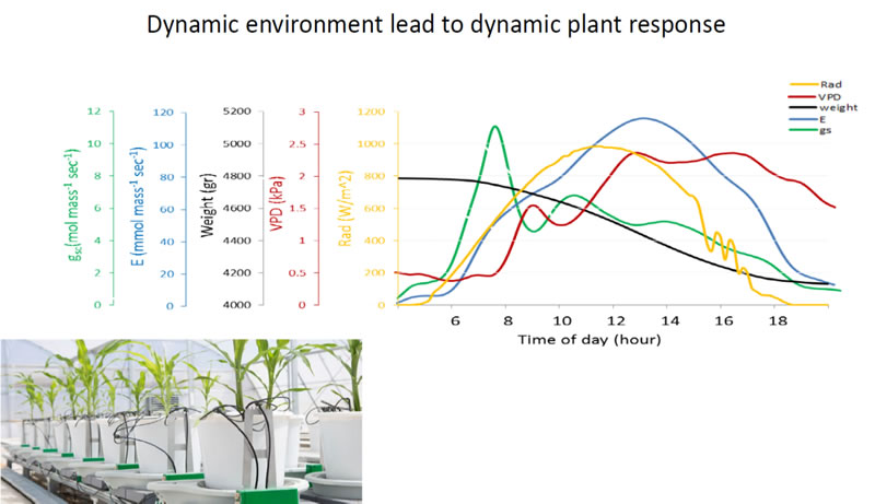 Plantarray可連續(xù)監(jiān)測(cè)溫室中生長(zhǎng)植物的生理指標(biāo)日變化.jpg Plantarray可連續(xù)監(jiān)測(cè)溫室中生長(zhǎng)植物的生理指標(biāo)日變化.jpg