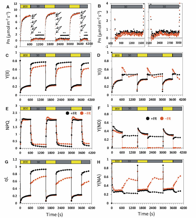 圖2191024.jpg 圖2191024.jpg