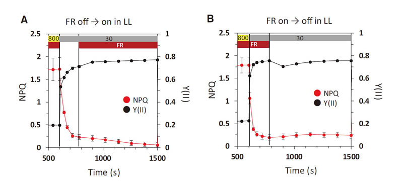 圖3191024.jpg 圖3191024.jpg