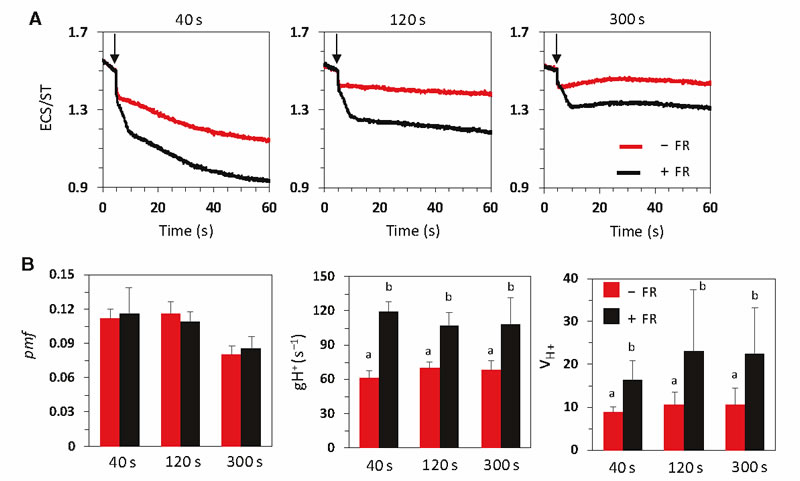 圖4191024.jpg 圖4191024.jpg