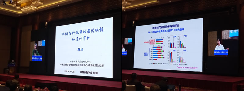 大會報告.jpg 大會報告.jpg