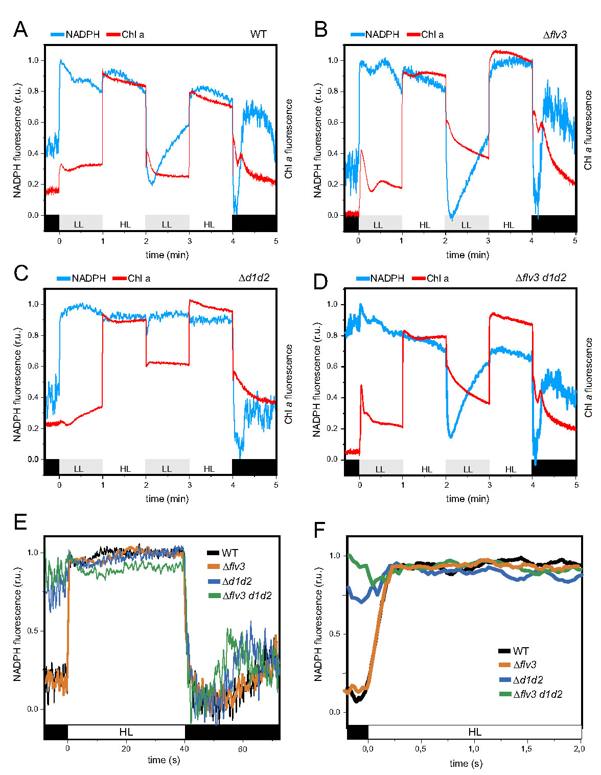圖4200204.jpg 圖4200204.jpg