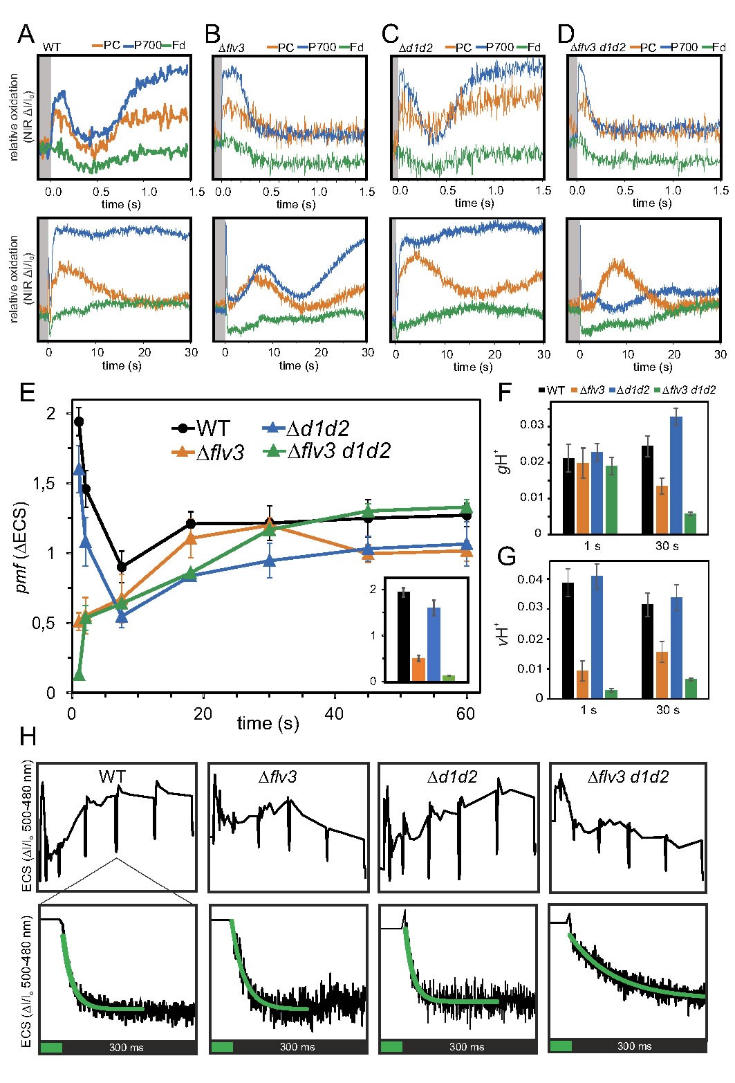 圖5200204.jpg 圖5200204.jpg