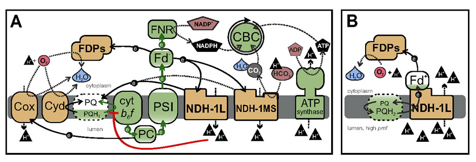 圖7200204.jpg 圖7200204.jpg