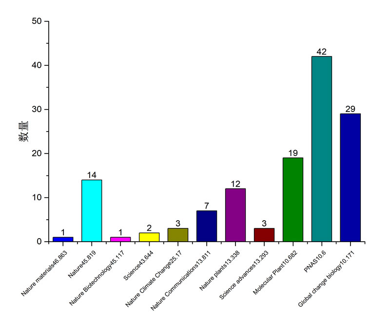 IF 10-.jpg IF 10-.jpg