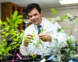 Lorenzo Rossi.jpg Lorenzo Rossi.jpg