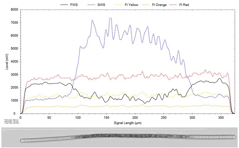 CytoSense2004205.jpg CytoSense2004205.jpg
