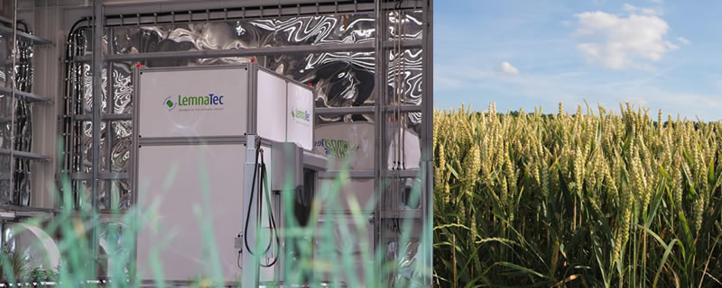 LT Web sample Photo.jpg