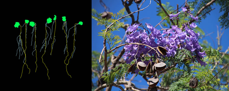 LT Web sample Photo1.jpg