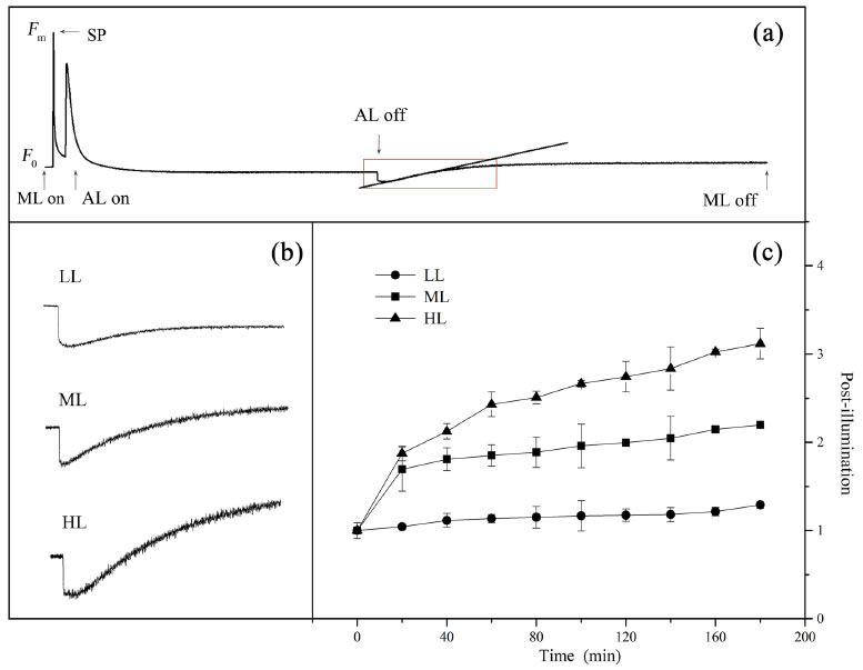 圖4200507.jpg 圖4200507.jpg