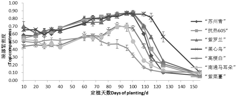 圖4191210.jpg 圖4191210.jpg