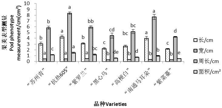 圖8191210.jpg 圖8191210.jpg