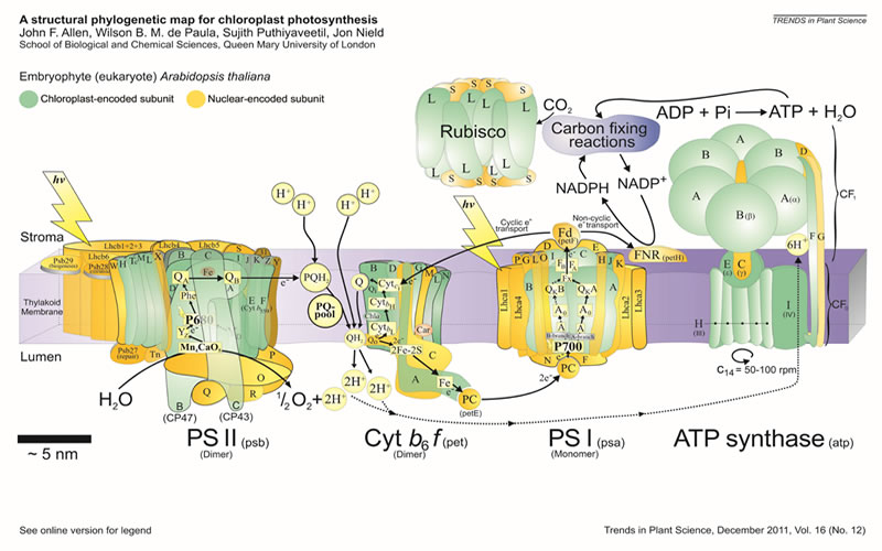 圖4200616.jpg 圖4200616.jpg