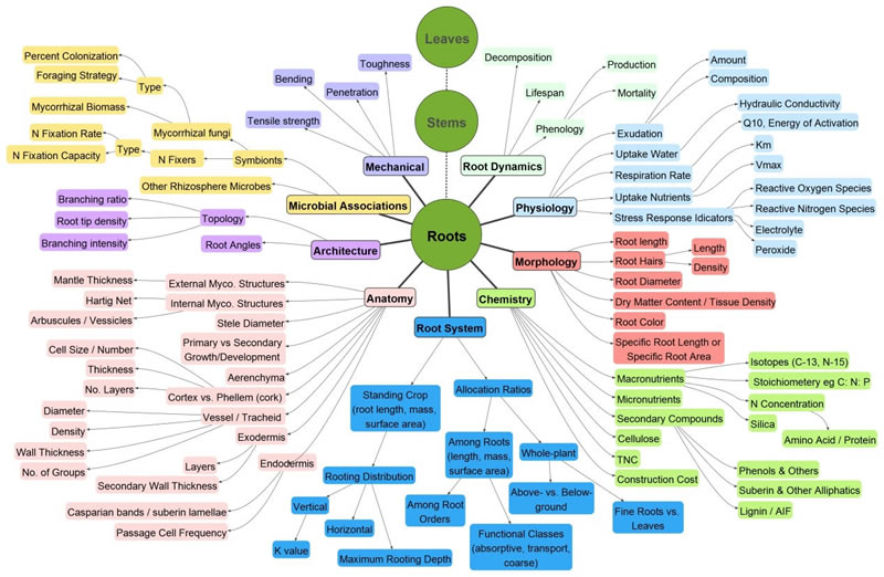 圖1200630.jpg 圖1200630.jpg