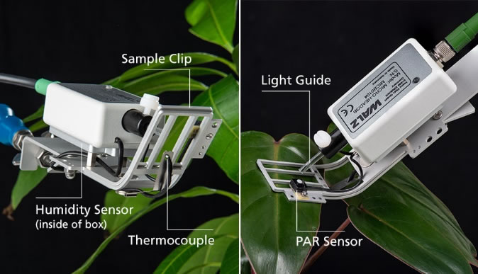 image005.jpg image005.jpg