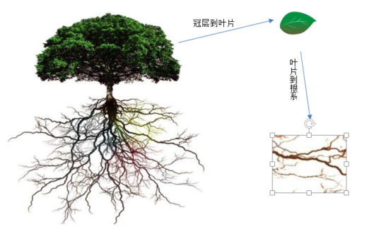 圖1200918.png 圖1200918.png