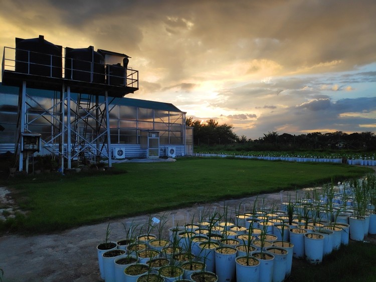 圖120111701.jpg 圖120111701.jpg