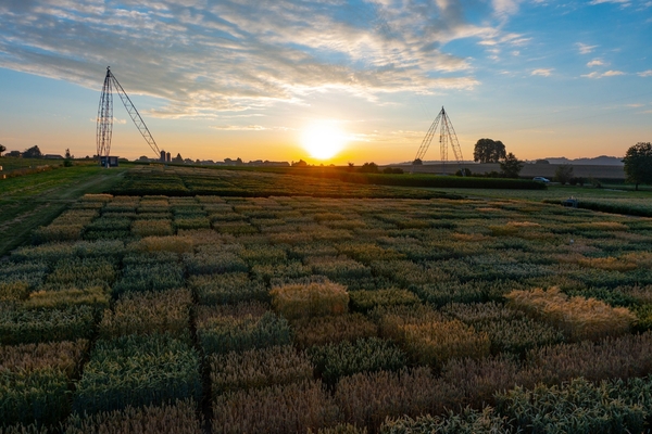 圖3201117011.jpg 圖3201117011.jpg