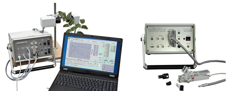 圖42012021.gif 圖42012021.gif