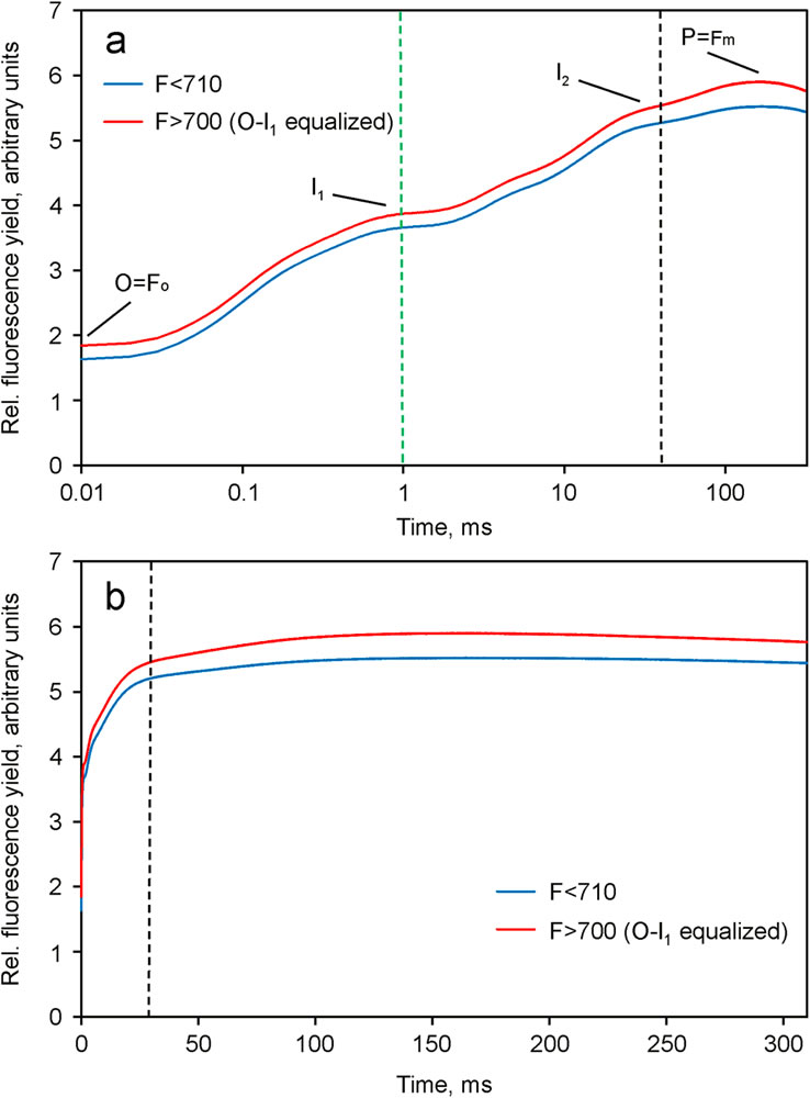 圖3210128.jpg 圖3210128.jpg