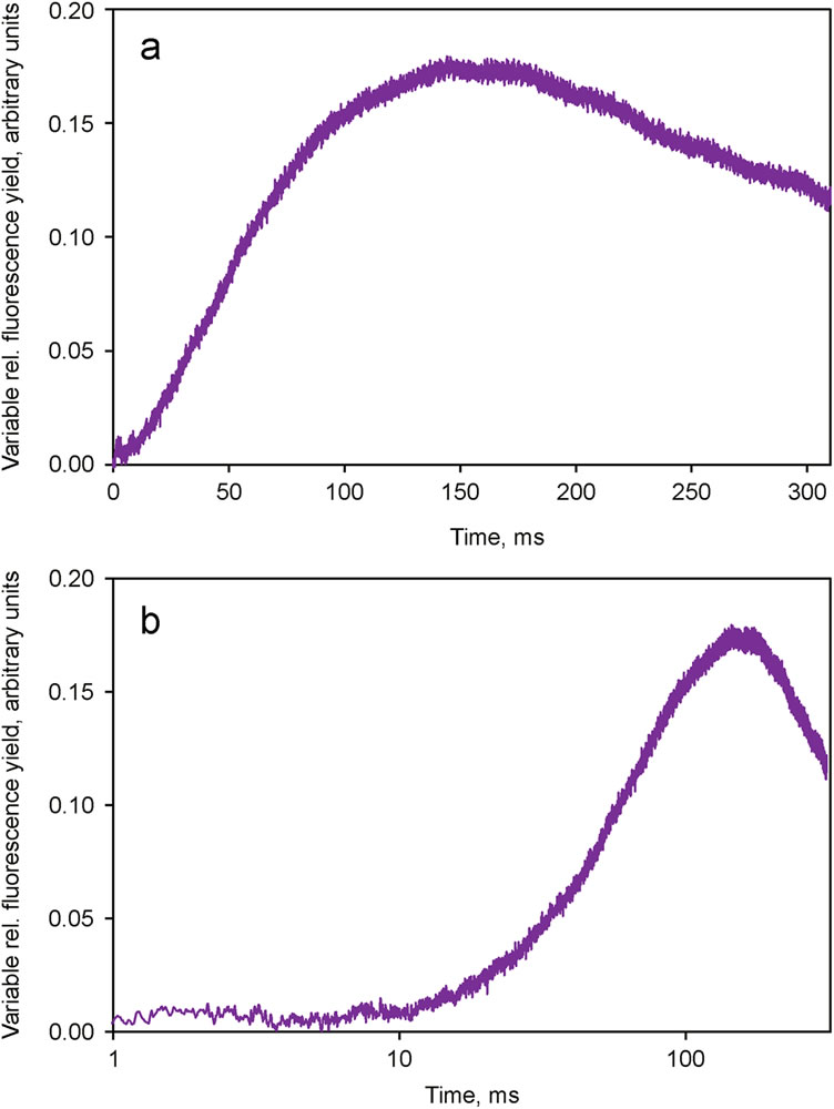 圖5210128.jpg 圖5210128.jpg