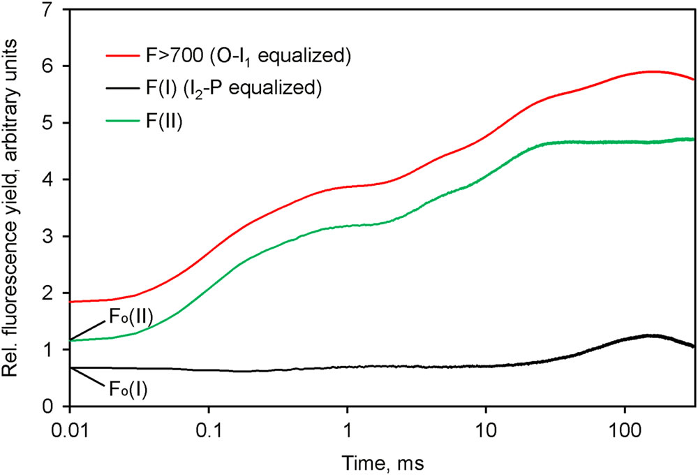 圖8210128.jpg 圖8210128.jpg