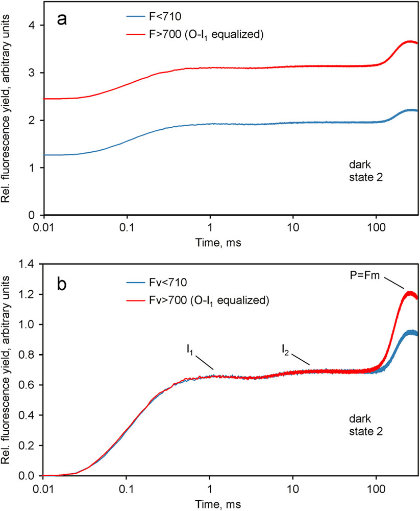 圖9210128.jpg 圖9210128.jpg