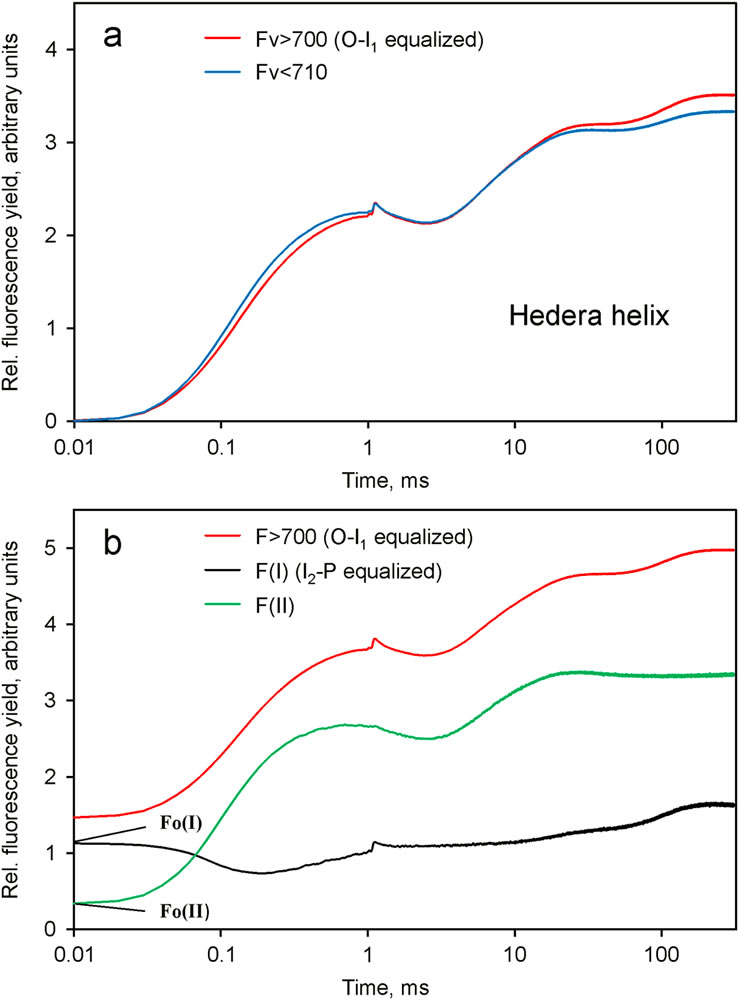 圖11210128.jpg 圖11210128.jpg