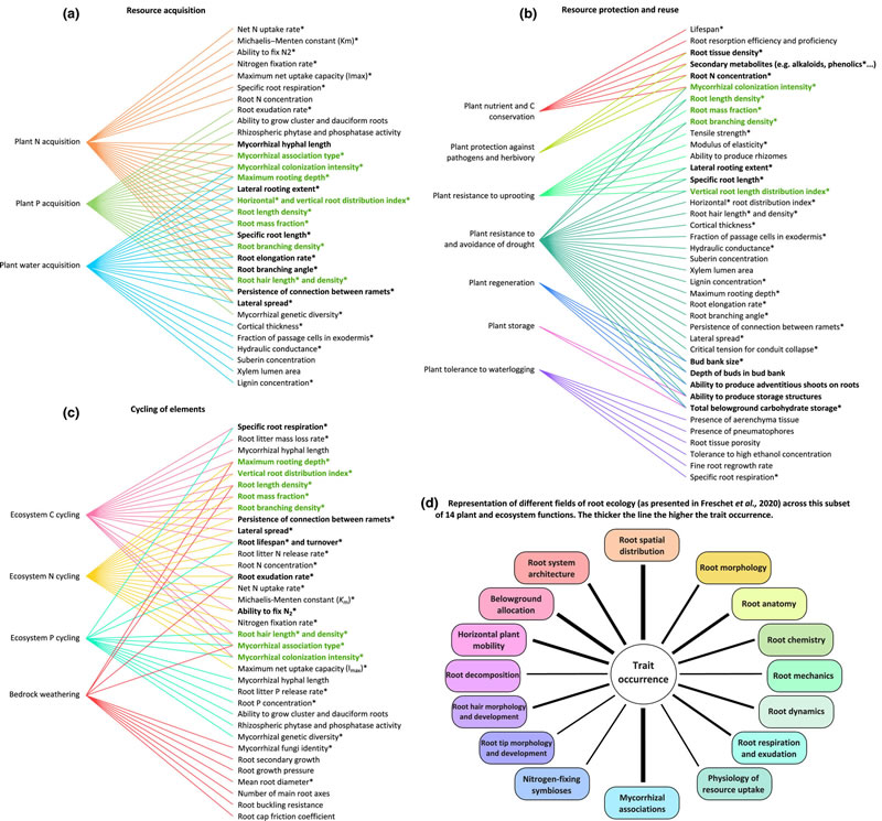 圖1210412s.jpg 圖1210412s.jpg