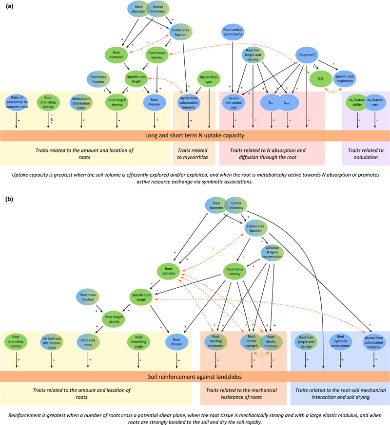 圖2210412s.jpg 圖2210412s.jpg