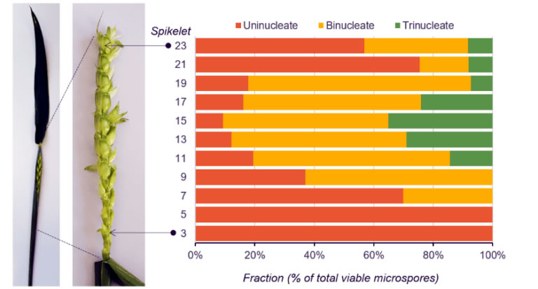 t3210415.jpg t3210415.jpg