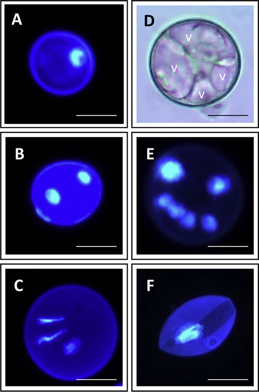 t5210415.jpg t5210415.jpg