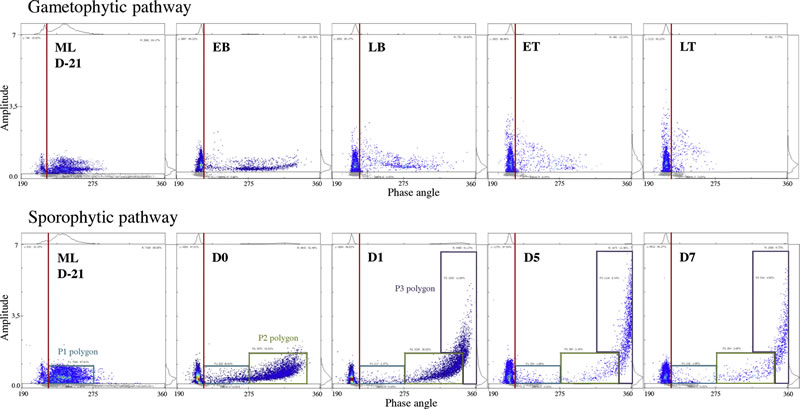 t6210415.jpg t6210415.jpg