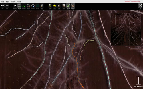 210524CI-602.jpg 210524CI-602.jpg