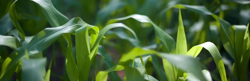 圖1210714.jpg 圖1210714.jpg