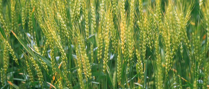 圖121072102.jpg 圖121072102.jpg