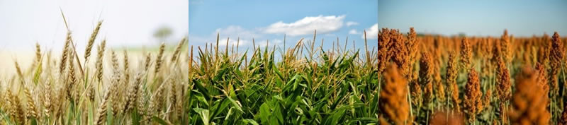 圖41210727.jpg 圖41210727.jpg