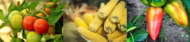 圖141210727.jpg 圖141210727.jpg