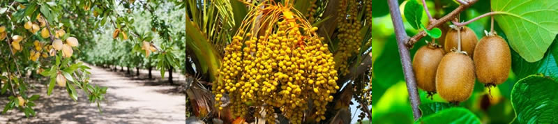 圖161210727.jpg 圖161210727.jpg