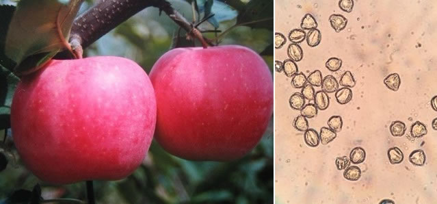 圖42108092.jpg 圖42108092.jpg