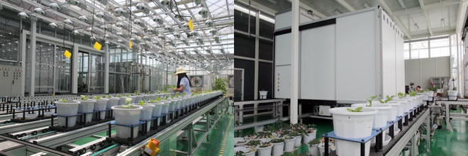 圖42108181.jpg 圖42108181.jpg