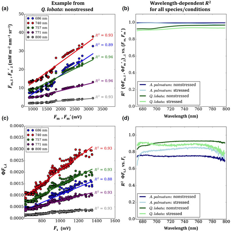 圖3210819.jpg 圖3210819.jpg