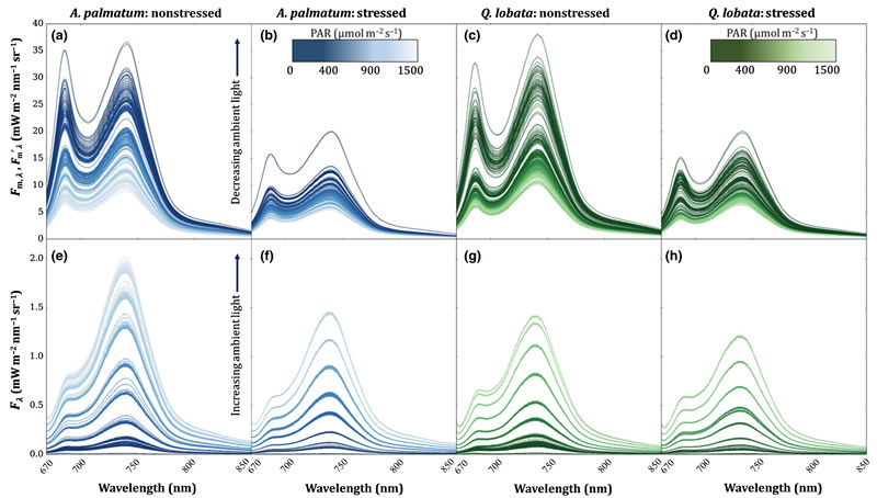 圖4210819.jpg 圖4210819.jpg