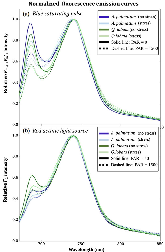 圖5210819.jpg 圖5210819.jpg