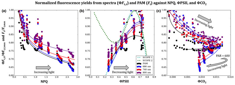 圖6210819.jpg 圖6210819.jpg